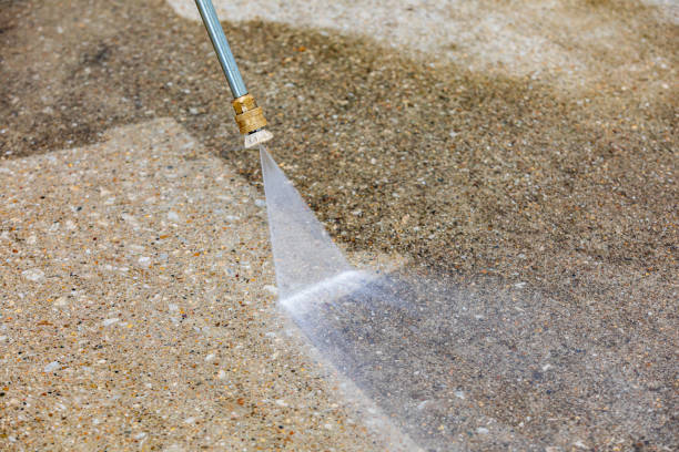 Best Driveway Pressure Washing  in Northeast Ithaca, NY